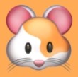 看片软件APP应用